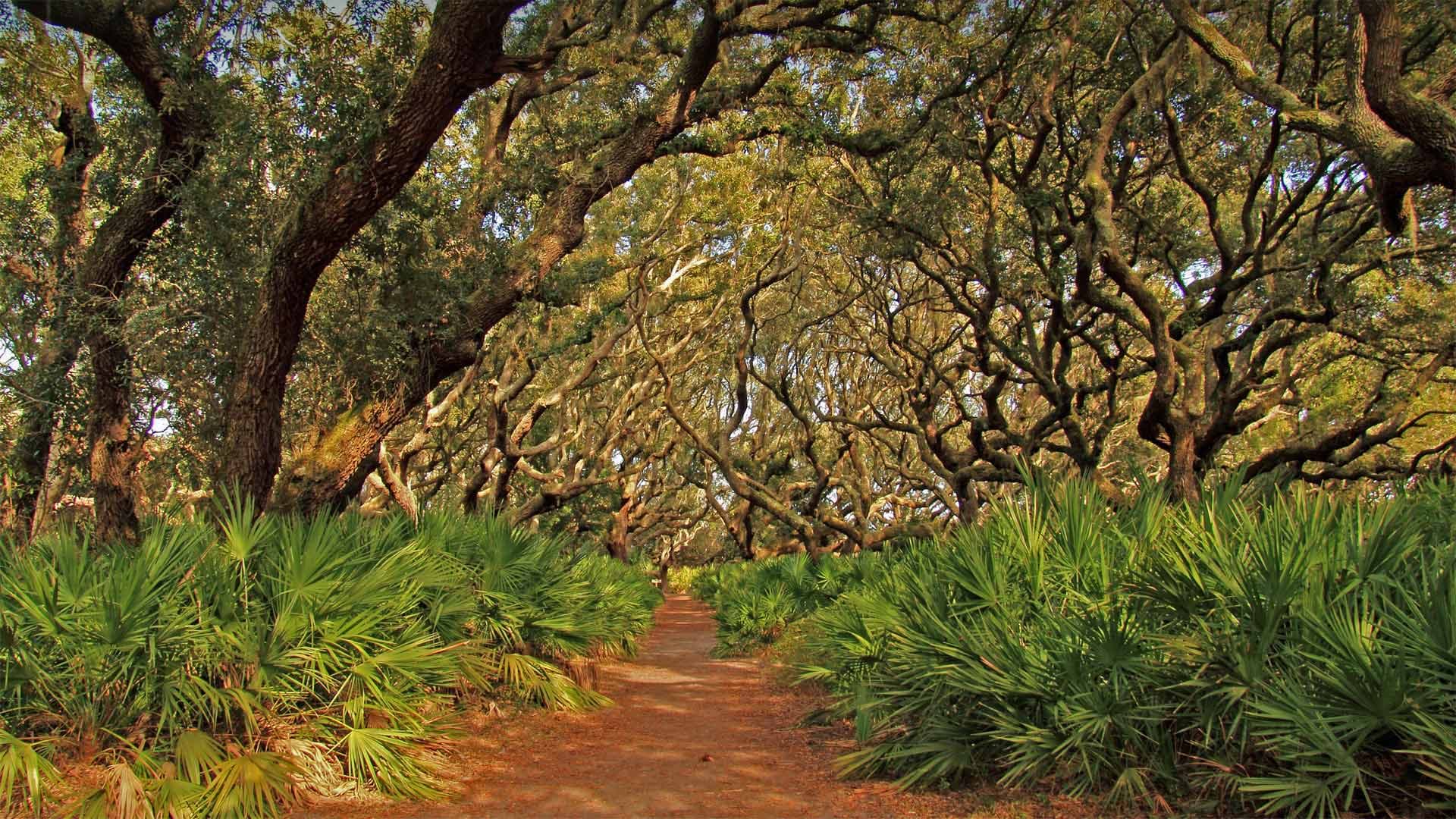 南京本来就是省外